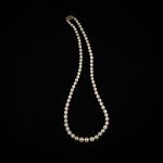 1723 4071 Pärlcollier